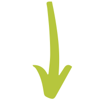 arrow - down mobile arrow - down mobile